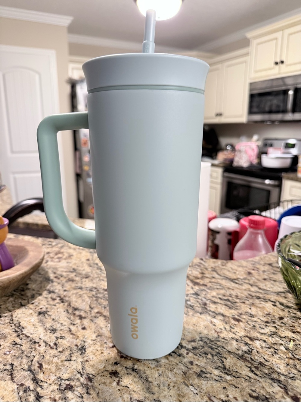 Owala Summer Paradise 40 oz Mint Green Travel Tumbler with Handle and Straw